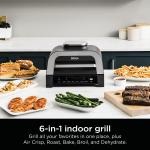 Ninja Foodi Smart XL Indoor Grill – 6-in-1 Air Fryer, Roaster & Dehydrator – Smart Thermometer, 2nd Gen, Black/Silver (DG551)