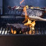 Pit Boss Portable Battery Powered Wood Pellet Grill